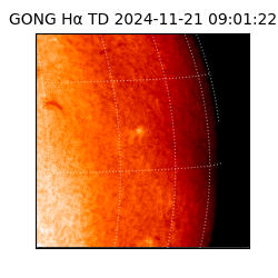 gong - 2024-11-21T09:01:22