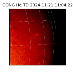 gong - 2024-11-21T11:04:22