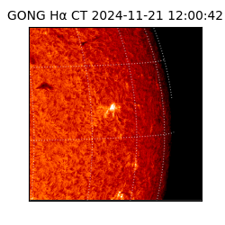 gong - 2024-11-21T12:00:42