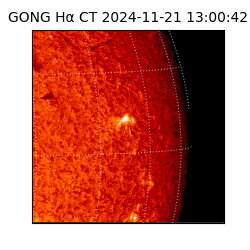 gong - 2024-11-21T13:00:42