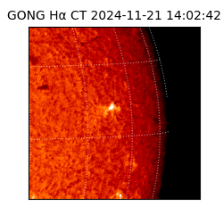 gong - 2024-11-21T14:02:42