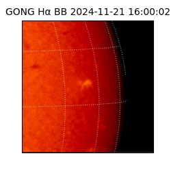 gong - 2024-11-21T16:00:02