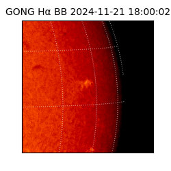 gong - 2024-11-21T18:00:02