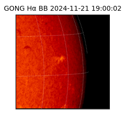 gong - 2024-11-21T19:00:02