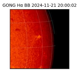 gong - 2024-11-21T20:00:02