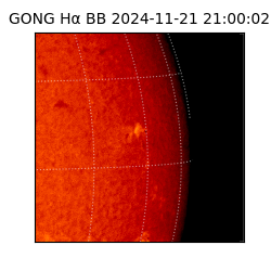 gong - 2024-11-21T21:00:02