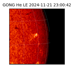 gong - 2024-11-21T23:00:42