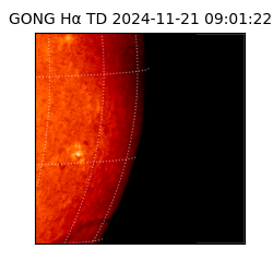 gong - 2024-11-21T09:01:22