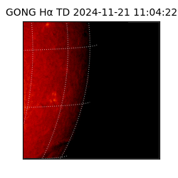 gong - 2024-11-21T11:04:22