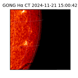 gong - 2024-11-21T15:00:42