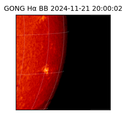 gong - 2024-11-21T20:00:02