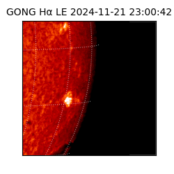 gong - 2024-11-21T23:00:42