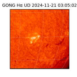 gong - 2024-11-21T03:05:02