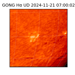 gong - 2024-11-21T07:00:02