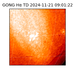 gong - 2024-11-21T09:01:22