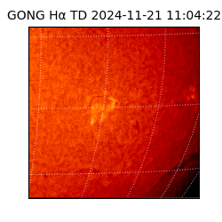 gong - 2024-11-21T11:04:22