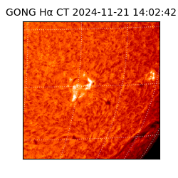 gong - 2024-11-21T14:02:42