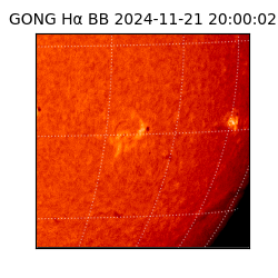 gong - 2024-11-21T20:00:02