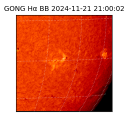 gong - 2024-11-21T21:00:02