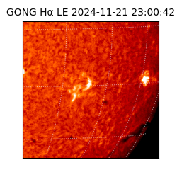 gong - 2024-11-21T23:00:42