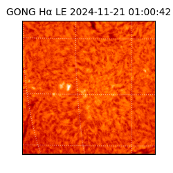 gong - 2024-11-21T01:00:42