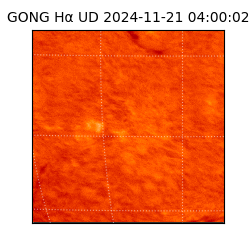 gong - 2024-11-21T04:00:02