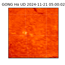 gong - 2024-11-21T05:00:02