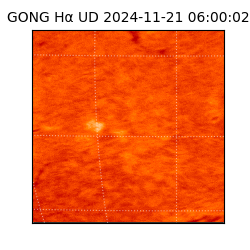 gong - 2024-11-21T06:00:02