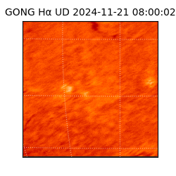 gong - 2024-11-21T08:00:02