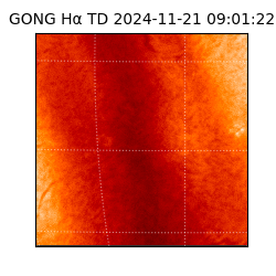 gong - 2024-11-21T09:01:22