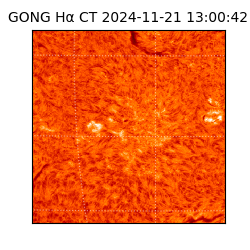 gong - 2024-11-21T13:00:42