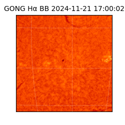 gong - 2024-11-21T17:00:02