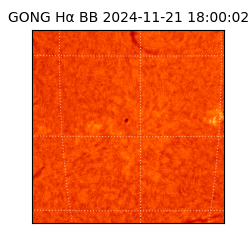 gong - 2024-11-21T18:00:02