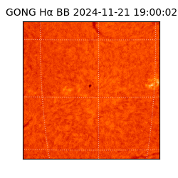 gong - 2024-11-21T19:00:02