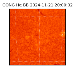 gong - 2024-11-21T20:00:02