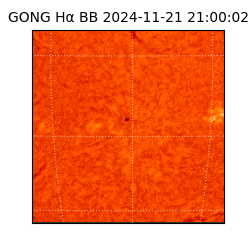 gong - 2024-11-21T21:00:02