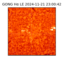 gong - 2024-11-21T23:00:42