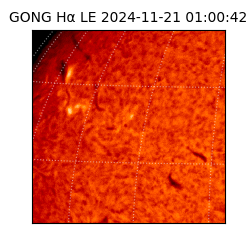 gong - 2024-11-21T01:00:42