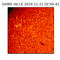 gong - 2024-11-21T02:00:42