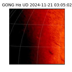 gong - 2024-11-21T03:05:02