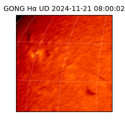 gong - 2024-11-21T08:00:02