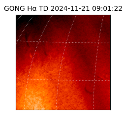 gong - 2024-11-21T09:01:22