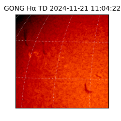 gong - 2024-11-21T11:04:22