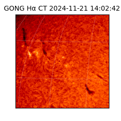 gong - 2024-11-21T14:02:42