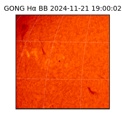 gong - 2024-11-21T19:00:02