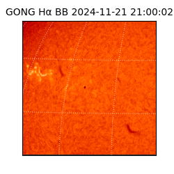 gong - 2024-11-21T21:00:02