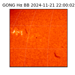 gong - 2024-11-21T22:00:02