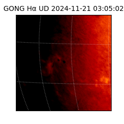 gong - 2024-11-21T03:05:02