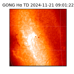 gong - 2024-11-21T09:01:22