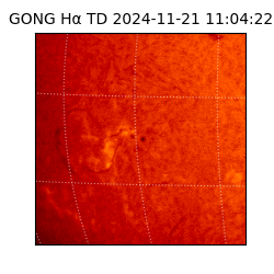 gong - 2024-11-21T11:04:22